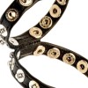 Double Multisnap Cock Strap