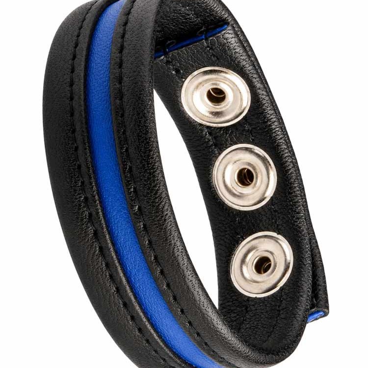 LeatherBound • Blue