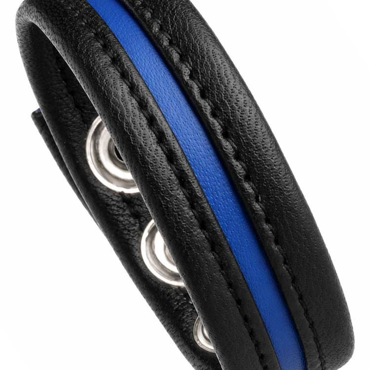 LeatherBound • Blue