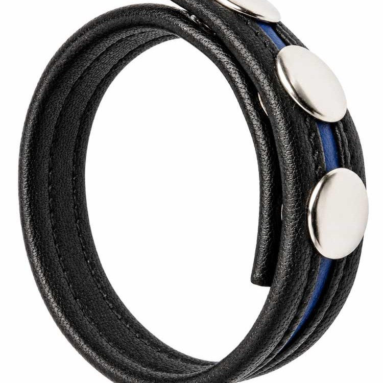 LeatherBound • Blue