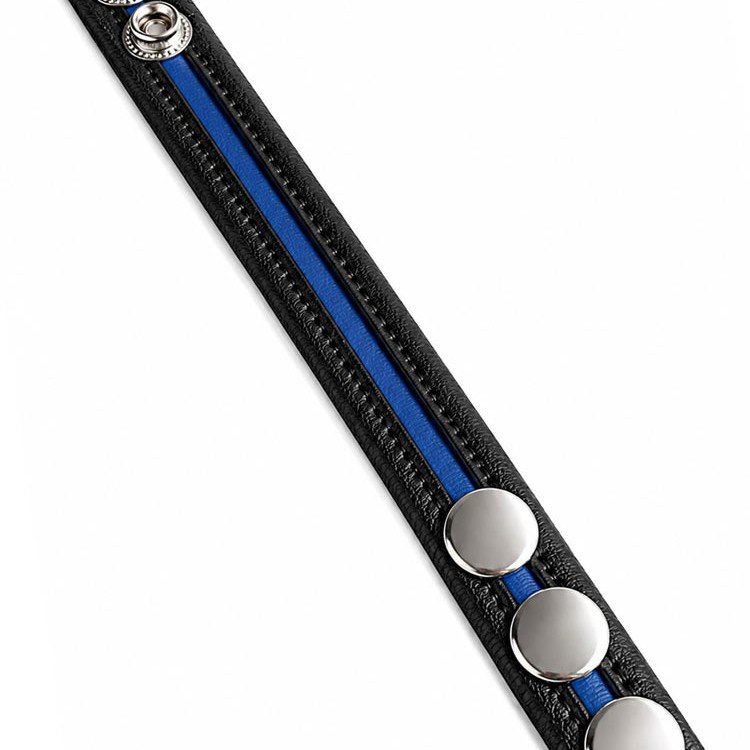 LeatherBound • Blue