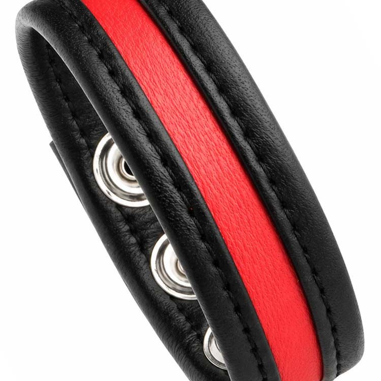 LeatherBound • Red