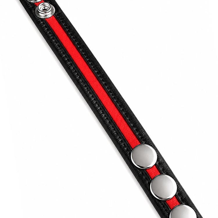 LeatherBound • Red
