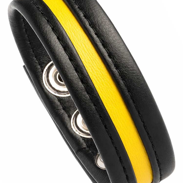 LeatherBound • Yellow