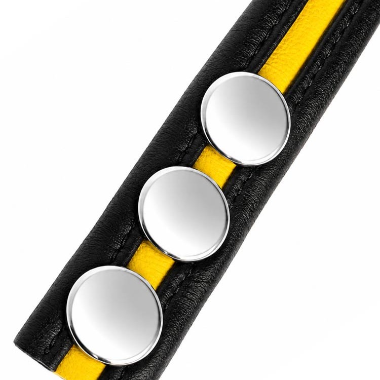 LeatherBound • Yellow