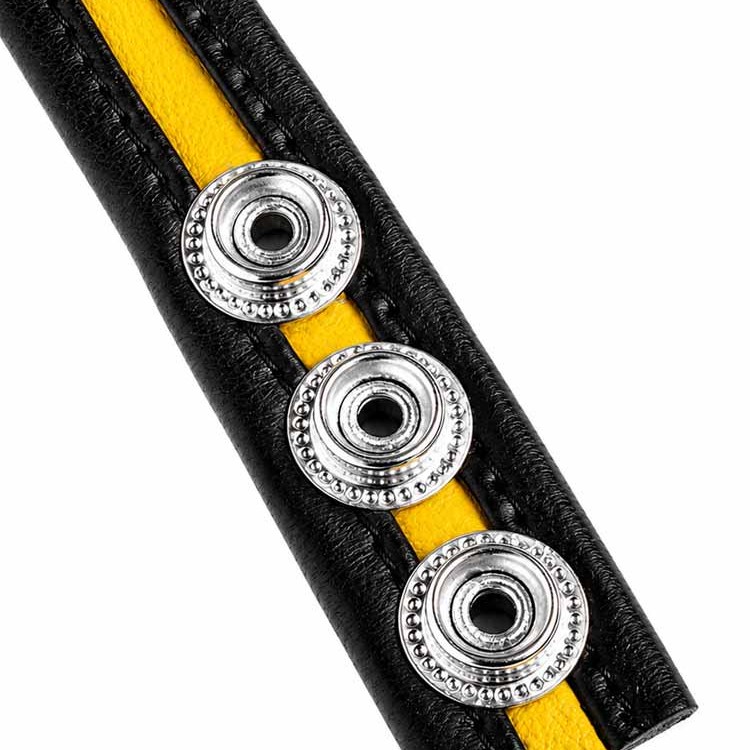 LeatherBound • Yellow